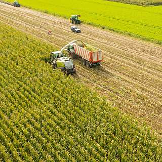 tractors on field