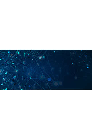 online partner conference