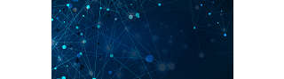 online partner conference